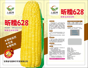 昕糯628