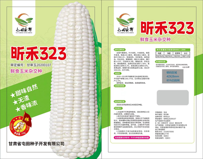 昕禾323