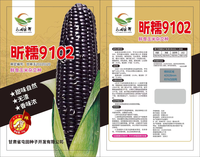 昕糯9102